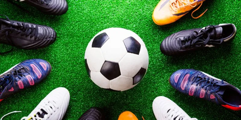 Đôi nét khái quát qua về sự nghiệp.