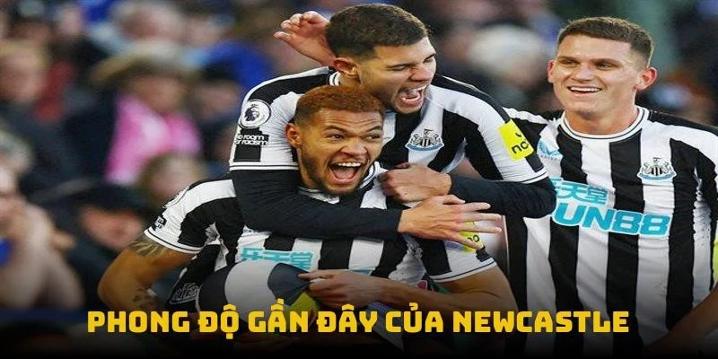 Phong độ gần đây của Newcastle